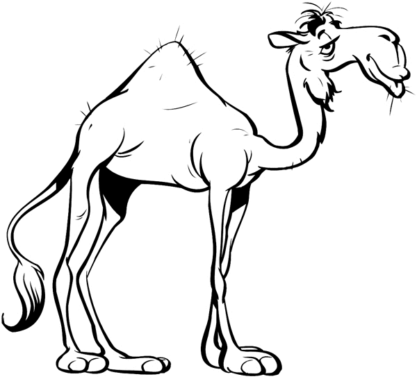 Bare looking comic camel vinyl sticker. Customize on line.      Animals Insects Fish 004-0887  